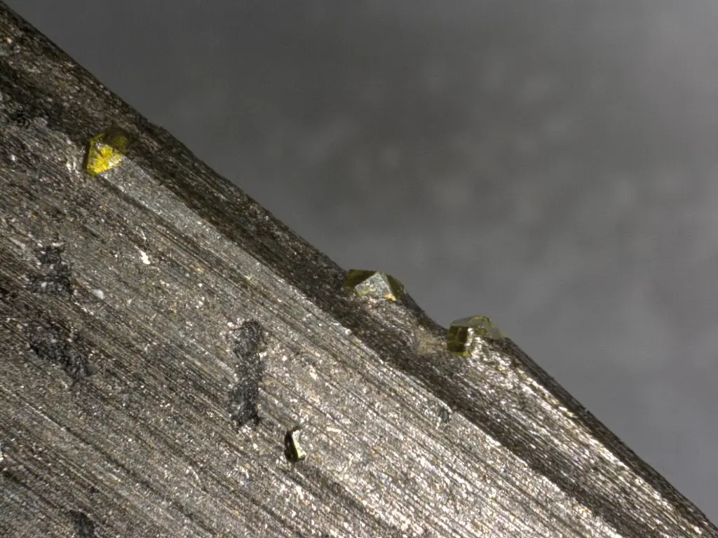 Stützrücken 001.webp